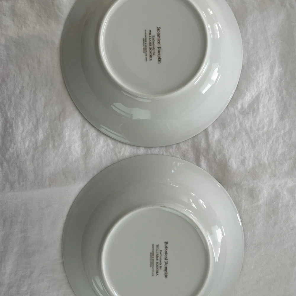 Williams Sonoma Botanical Pumpkin Dinner Plates 11” diameter (Set of 2)